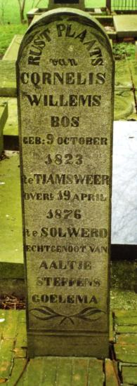 Solwerd 50 Cornelis Willems Bos